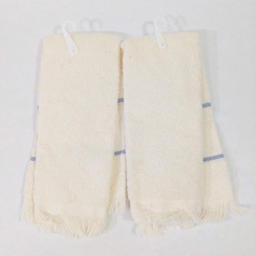 Vtg Charles Craft Cross Stitch Fingertip Towels Ecru Blue Borderlines 2pc USA